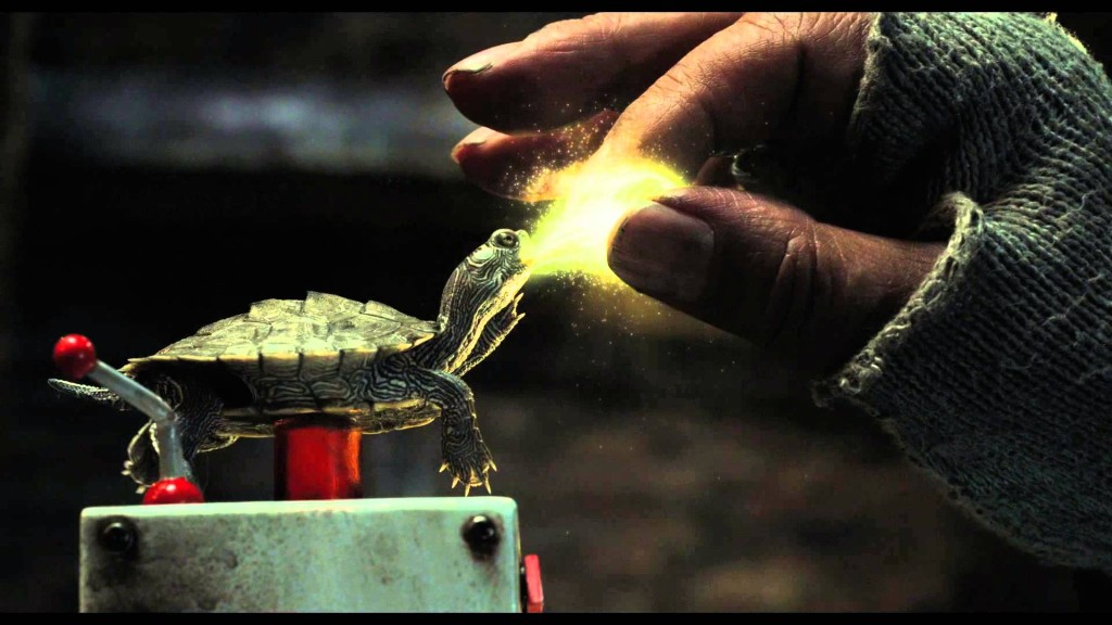 ラブ＆ピース　カメ