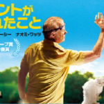ヴィンセントが教えてくれたこと:ネタバレ！この映画でちょっと泣こう( ﾉД`)