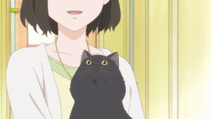 彼女と彼女の猫