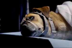 ラザロ・エフェクト