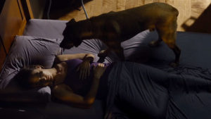 ラザロ・エフェクト