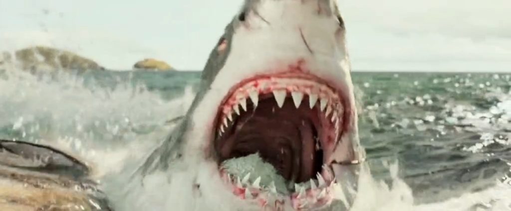 ロスト・バケーション