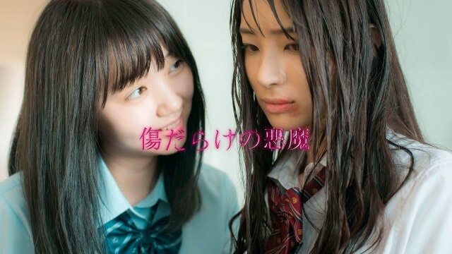 【傷だらけの悪魔】女性社会は怖い(-_-;)