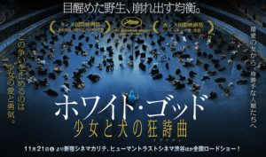【ホワイト・ゴッド 少女と犬の狂詩曲】犬が演技する‥！？犬好き必見映画！