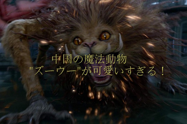 中国の魔法動物"ズーウー"が可愛いすぎる！【ファンタビ2】